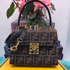 Fendi Brown and Black Women's Bag